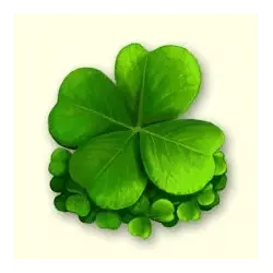 Clover